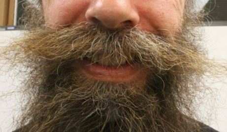 Why Does My Beard Feel So Dry?