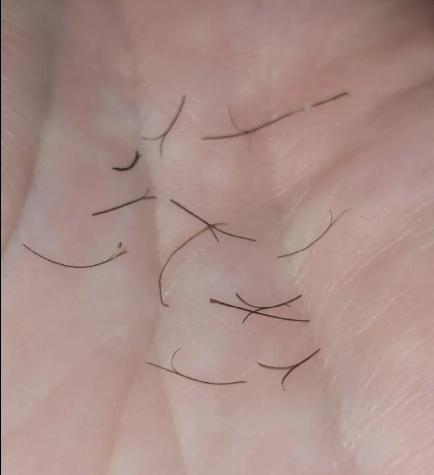 Beard Split Ends: Taming the Beast in Your Beard