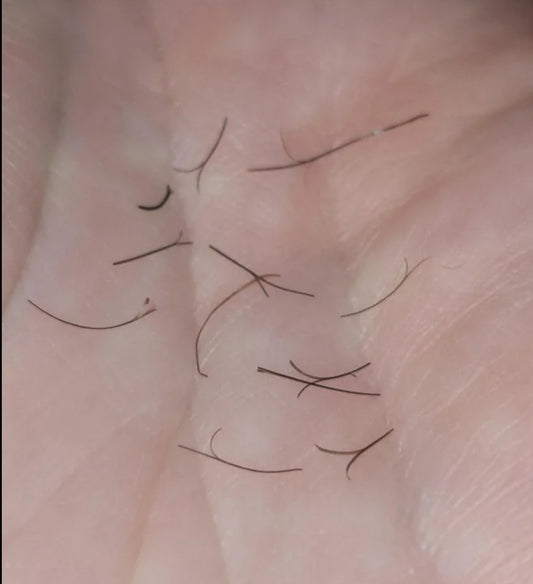 Beard Split Ends: Taming the Beast in Your Beard