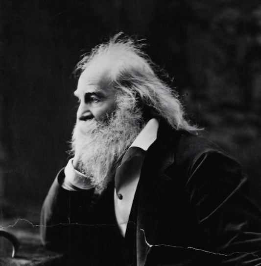 The Iconic Beards of American History: Celebrating the Facial Hair Legacies