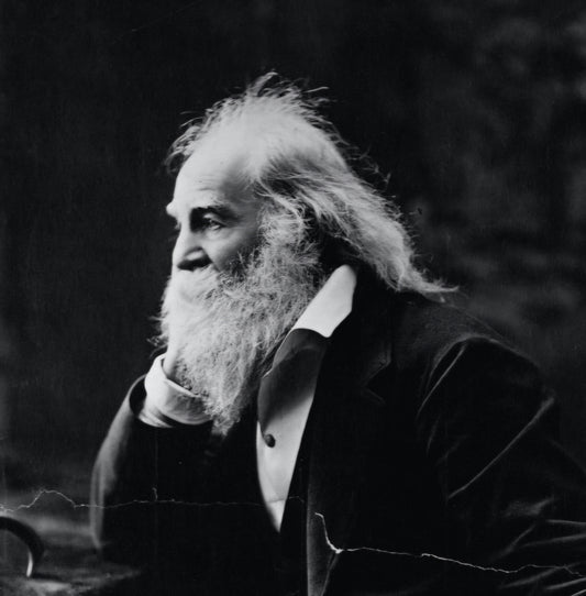 The Iconic Beards of American History: Celebrating the Facial Hair Legacies